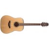Takamine GD20-NS