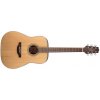 Takamine GD20-NS