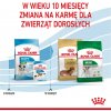 ROYAL CANIN Puppy Mini - suché krmivo pro psy - 8 kg