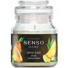 Voňavá sviečka v skle Dr.Marcus Senso 130g - EXOTIC