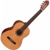 Cort AC-100DX OP