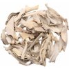 Nefertitis Šalvia biela NF15386 - 20 g
