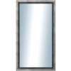 DANTIK - Zrkadlo v rámu, rozmer s rámom 50x90 cm z lišty Eternity AG ľadvinka (3097)