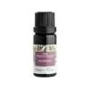 Nobilis Tilia Zmes éterických olejov Inšpirácia - 10 ml