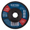 Extol Premium 8803474 kotúč lamelový šikmý korundový, O125mm, P80