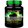 Scitec Nutrition 100 % Pure L-Glutamine 600 g