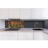 DIMEX | Dibond doska za kuchynskú linku | DBW-08040-198 Farebný borovicový háj| 80 x 40 cm + Dibond obkladová doska Dimex do kuchyne Farebný borovicový hájv rozmere 80 x 40 cm