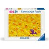 Ravensburger Challenge Puzzle 12000587 - Quietscheenten 1000 Teile (Hra)