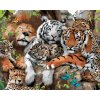 zuty Maľovanie podľa čísel - Lev, tigre a ďalšie mačkovité šelmy, 80x100 cm, vypnuté plátno na rám (8596530063032)