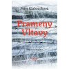 Prameny Vltavy (Petra Klabouchová)