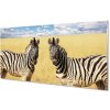 Nástenný panel zebra box 100x50 cm