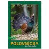 Nástenný Poľovnícky 2026