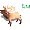Atlas C Jelen 10 cm