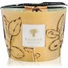 Baobab Collection Folia Garrigue 10 cm