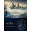 AVALANCHE STUDIOS Hogwarts Legacy + Preorder Bonus (PC) Steam Key 10000338280005