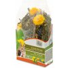JR Farm pochúťky zmes 0,1 kg