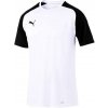Puma cup sideline core f04 656051 004