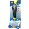 Tetra Hairgrass 23 cm