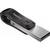 SanDisk iXpand Flash Drive Go 256GB SDIX60N-256G-GN6NE