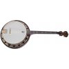 Deering Artisan Goodtime Special 17-Fret Tenor