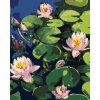 zuty Zuty - Maľovanie Podľa Čísel - Lekná V Záhradnom Jazere, 80X100 Cm, Plátno (8596530107224)