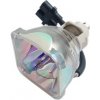 Lampa do projektora SONY VPL-EX2, kompatibilná lampa bez modulu