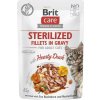 Brit Care Cat vreciek. Fillets Gravy Sterilised with Hearty Duck 85 g