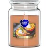 Bispol Aura Maxi Grilled Peach 500 g