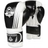 BUSHIDO DBX B-2v3A Boxerské rukavice - 12oz