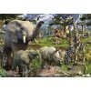 RAVENSBURGER Puzzle Zvieratá pri zdroji vody 18000 dielikov