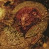 Forest Of Stars - Beware The Sword You Cannot See / Digipack [CD]