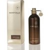 Montale Paris Aoud Forest unisex parfumovaná voda 100 ml