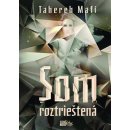 Mafi Tahereh - Som roztrieštená