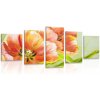 5-dielny obraz červené tulipány vo vintage prevedení