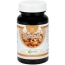 Natural Pharm Shiitake 100 tabliet