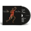 Tina Turner: Acid Queen - Tina Turner