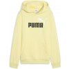 Junior mikina PUMA ESS 2 COLOR NO.1 LOGO HOODIE FL B 68582235 176