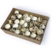 Prírodné prepeličie vajíčka otvorené škrupiny 72ks - nefarbené