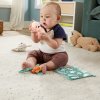 Fisher Price darčekový set senzorických hračiek HRB17