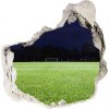Diera 3D fototapety nálepka Futbalové ihrisko 75x75 cm