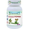 Cissus Power - Kĺby, Kosti - 500 mg, 60 kapsúl
