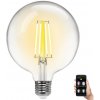 Aigostar B.V. | LED Žiarovka FILAMENT G125 E27/6W/230V 2700-6500K - Aigostar | AI0606