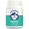 Dorwest Tablety na trávenie 200 tbl - Digestive
