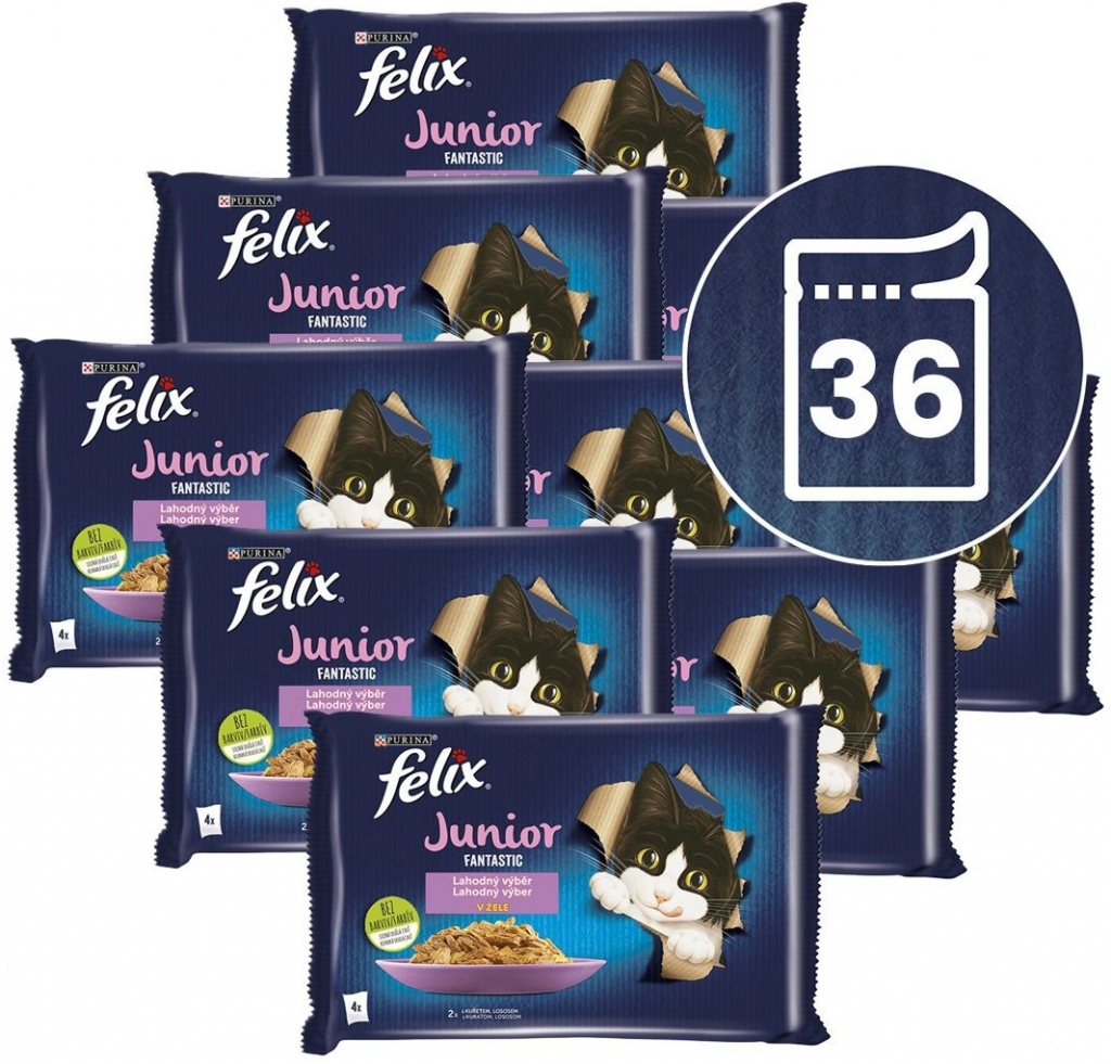 FELIX Junior Fantastic lahodný výber v želé 36 x 85 g