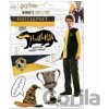 Cinereplicas Sada magnetek Harry Potter Mrzimor