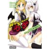 High School DxD: Asia & Koneko's Secret Contract!? (Hiroichi)(Brožovaná)