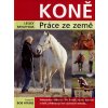 Koně