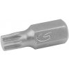 10mm bit XZN, 30mm, M8