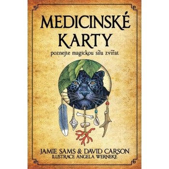 Medicinské karty