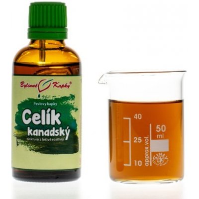 Bylinné kapky Celík zlatobyľ kanadský bylinné kvapky tinktúra 50 ml